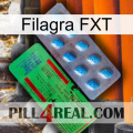 Filagra FXT new03